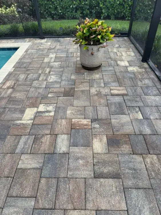 29C77AB4-3FF7-4E48-B647-A08CB03E6304 (1)