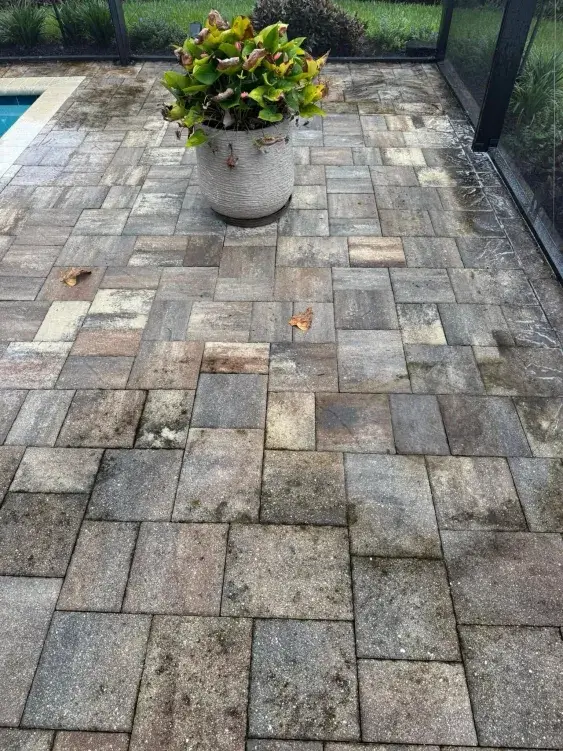 386D8390-F024-4BC1-B81F-815A6A465AAE (1)