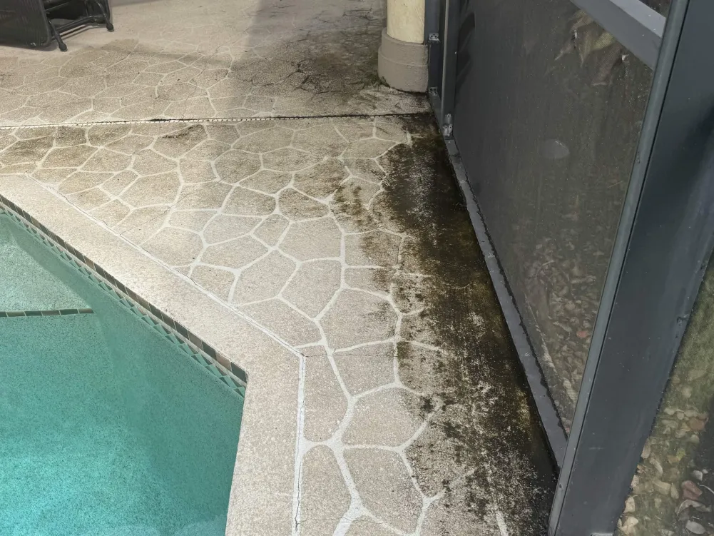 D28CECB8-DA1A-4946-B907-257B07E0F9F4