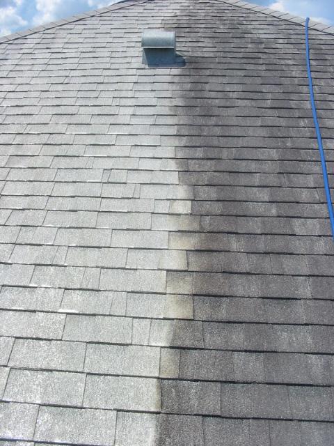 Roof Soft Washing 7
